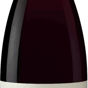 Darms Lane Pinot Noir Rrv