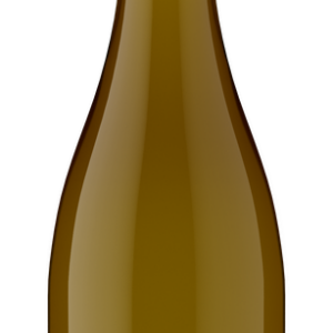 Raptor Ridge Pinot Gris